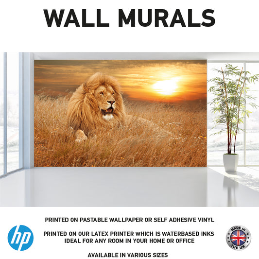 WM0027 North African Lion in sunset Wall Murals WallPaper Print Decal sticker