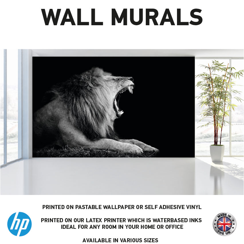 WM0028 Black and White African Lion Wall Murals WallPaper Print Decal sticker