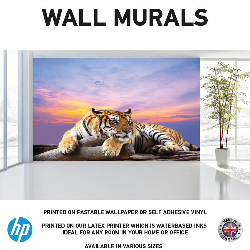 WM0030 African Tiger Sunset Lying Rock Wall Murals WallPaper Print Decal sticker