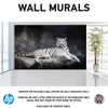WM0033 White African Tiger Lying Rock Wall Murals WallPaper Print Decal sticker