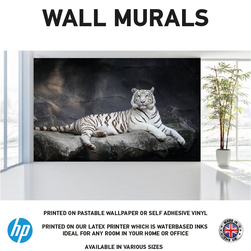 Wall Murals Various Designs & Sizes Available WM001-100