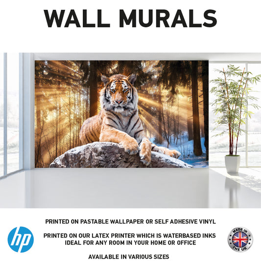 WM0034 Tiger Lying In Forrest Sunset Wall Murals WallPaper Print Decal sticker