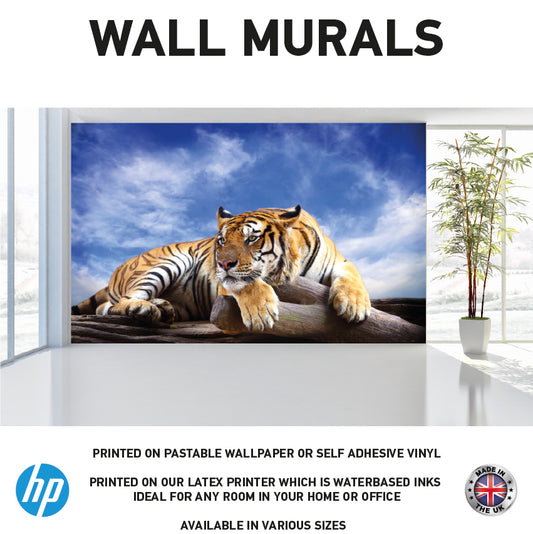 WM0035 Safari Tiger Wildlife Animal Wall Murals WallPaper Print Decal sticker