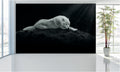 WM004 Sleeping Wolf Wall Murals WallPaper Print Decal sticker