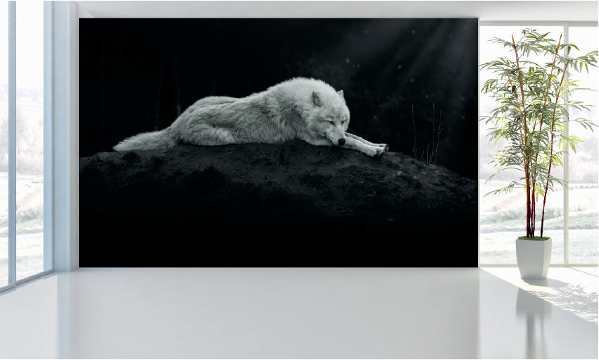 WM004 Sleeping Wolf Wall Murals WallPaper Print Decal sticker