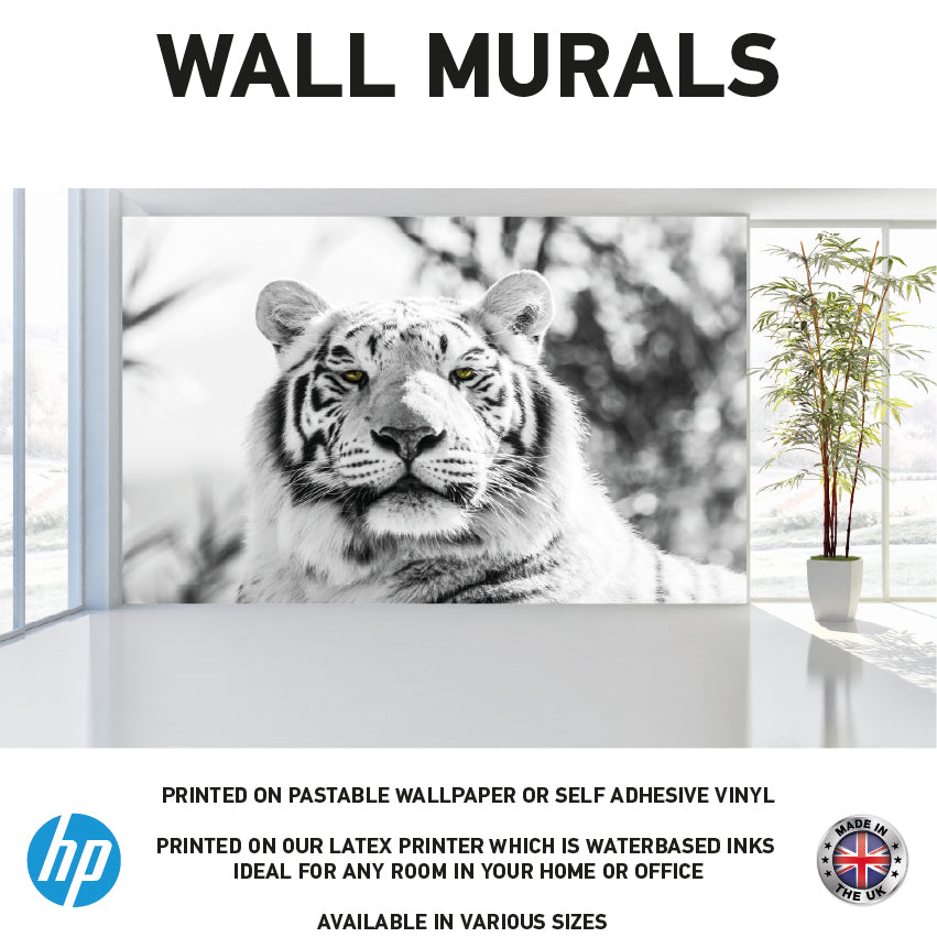 WM0041 Black and White Tiger Animal Wall Murals WallPaper Print Decal sticker