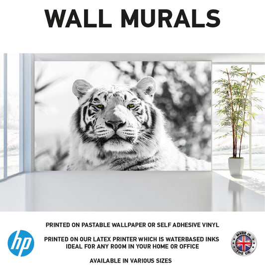 WM0041 Black and White Tiger Animal Wall Murals WallPaper Print Decal sticker