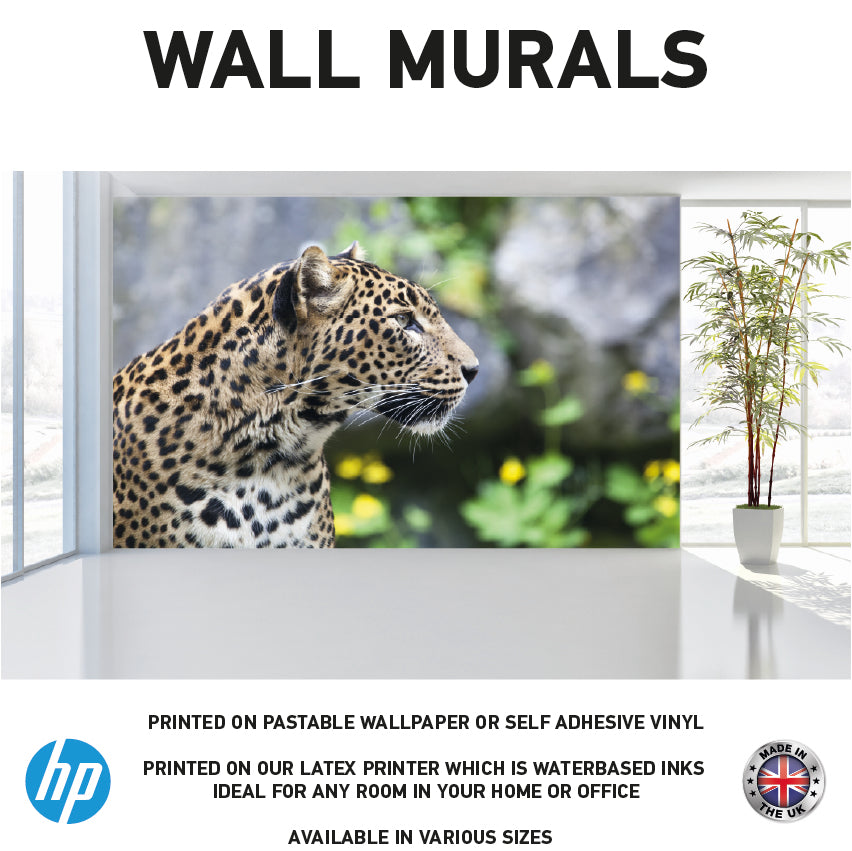WM0043 Wild Leopard Animal Wall Murals WallPaper Print Decal sticker