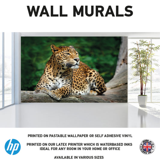 WM0044 Leopard Lying on Tree  Animal Wall Murals WallPaper Print Decal sticker
