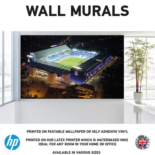 WM0056 Football Stadium Everton Wall Murals WallPaper Print Decal sticker