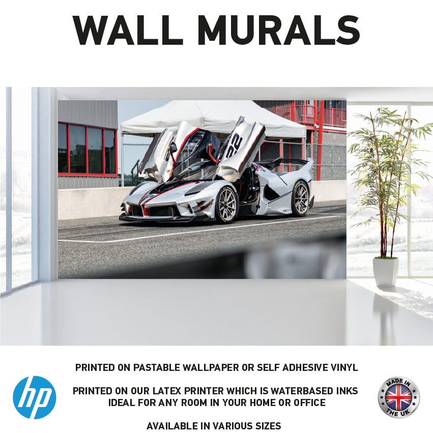 WM0065 Vehicle Fast Supercar Wall Murals WallPaper Print Decal sticker