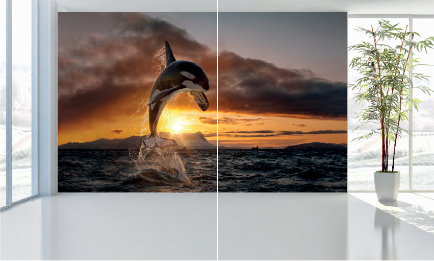 WM017 Orca Wall Murals WallPaper Print Decal sticker