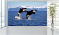 WM018 Two Orcas Wall Murals WallPaper Print Decal sticker