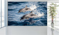 WM021 Two Dolphins Wall Murals WallPaper Print Decal sticker
