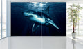 WM022 Shark Wall Murals WallPaper Print Decal sticker