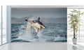 WM023 Shark Jumping Wall Murals WallPaper Print Decal sticker