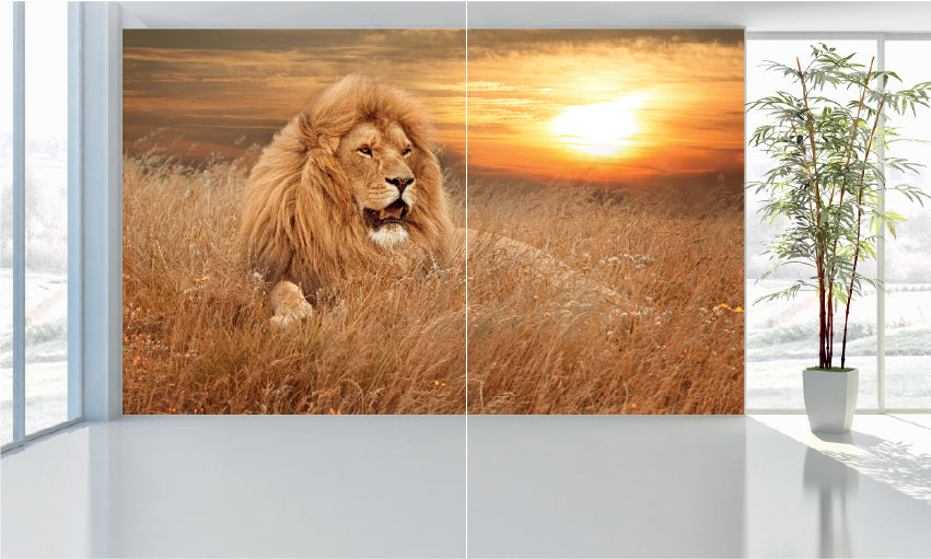 WM027 Lion in Grass Wall Murals WallPaper Print Decal sticker