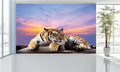 WM030 Tiger in Sunset Wall Murals WallPaper Print Decal sticker