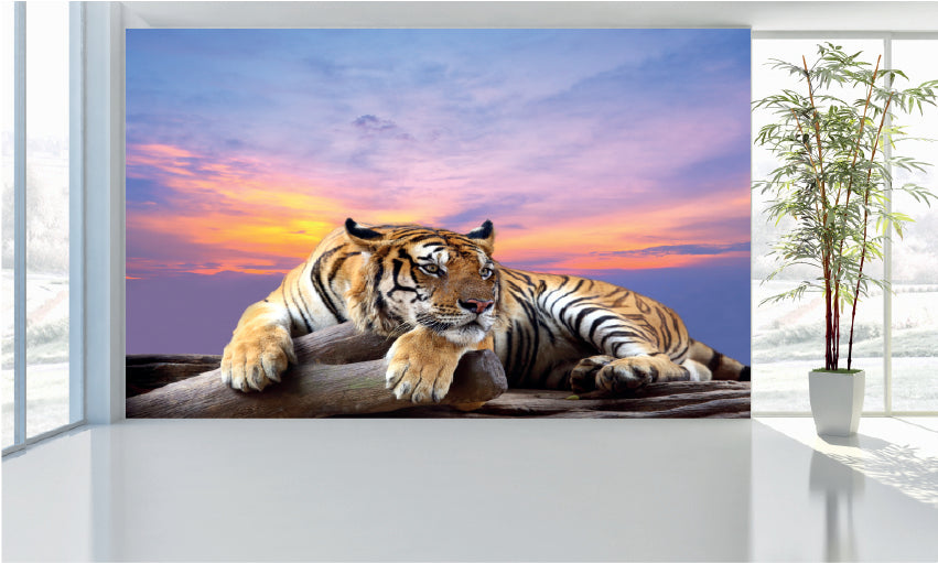 WM030 Tiger in Sunset Wall Murals WallPaper Print Decal sticker