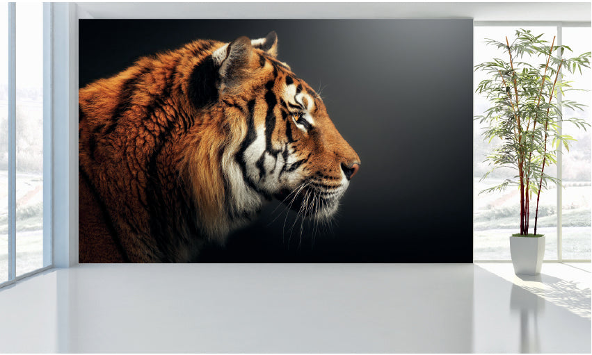 WM031 Tiger Face Wall Murals WallPaper Print Decal sticker