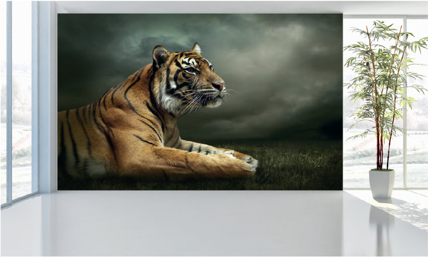 WM032 Tiger Wall Murals WallPaper Print Decal sticker