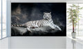 WM033 White Tiger Wall Murals WallPaper Print Decal sticker