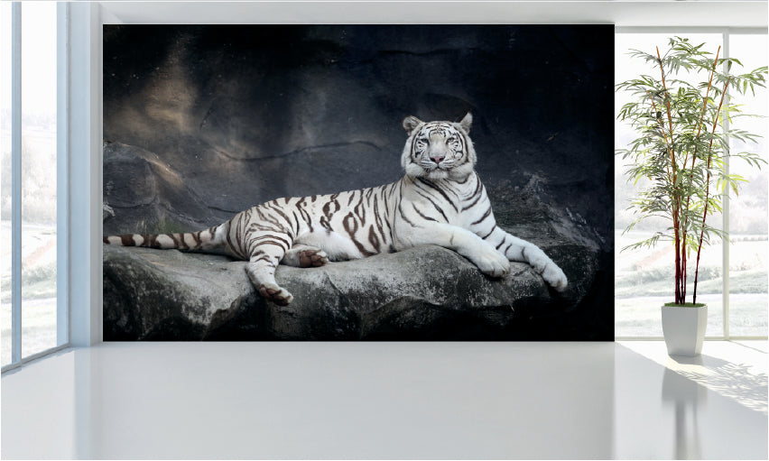 WM033 White Tiger Wall Murals WallPaper Print Decal sticker