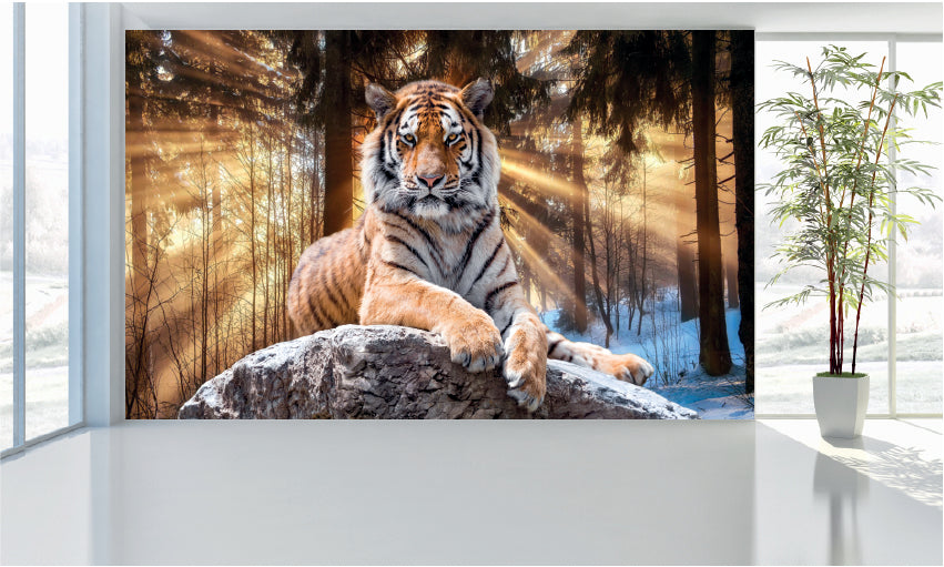 WM034 Beautiful Tiger Wall Murals WallPaper Print Decal sticker