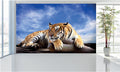 WM035 Tiger Wall Murals WallPaper Print Decal sticker