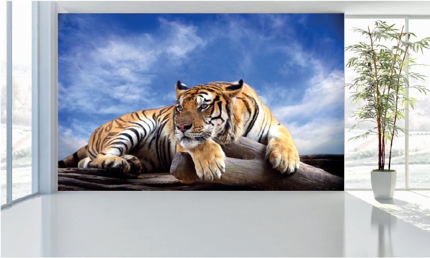 WM035 Tiger Wall Murals WallPaper Print Decal sticker