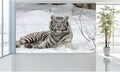 WM037 White Tiger in Snow Wall Murals WallPaper Print Decal sticker