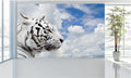 WM039 White Tiger Wall Murals WallPaper Print Decal sticker