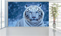 WM040 White Tiger in Snow Wall Murals WallPaper Print Decal sticker
