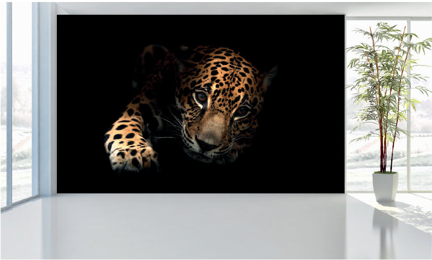 WM042 Leopard Wall Murals WallPaper Print Decal sticker