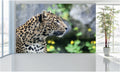 WM043 Leopard Wall Murals WallPaper Print Decal sticker