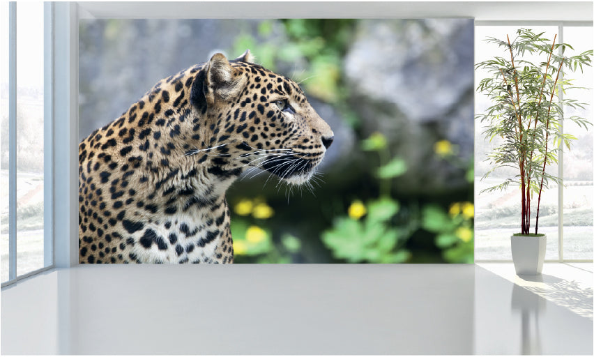 WM043 Leopard Wall Murals WallPaper Print Decal sticker