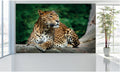 WM044 Leopard Wall Murals WallPaper Print Decal sticker