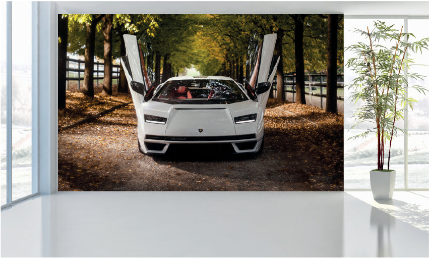 WM070 Lamborghini Super Car Wall Murals WallPaper Print Decal sticker