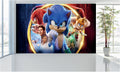 WM098 Sonic Hedgehog Characters Wall Murals WallPaper Print Decal sticker