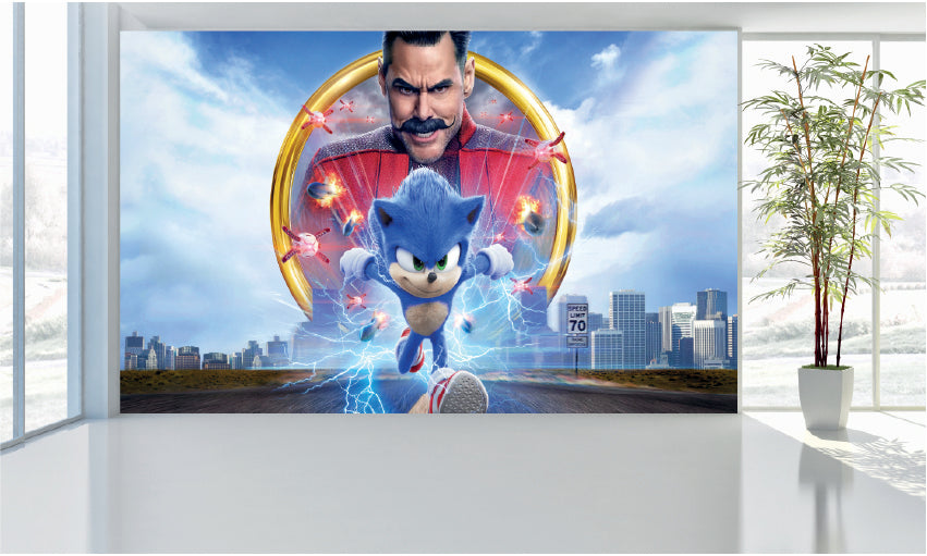 WM099 Sonic Characters Wall Murals WallPaper Print Decal sticker