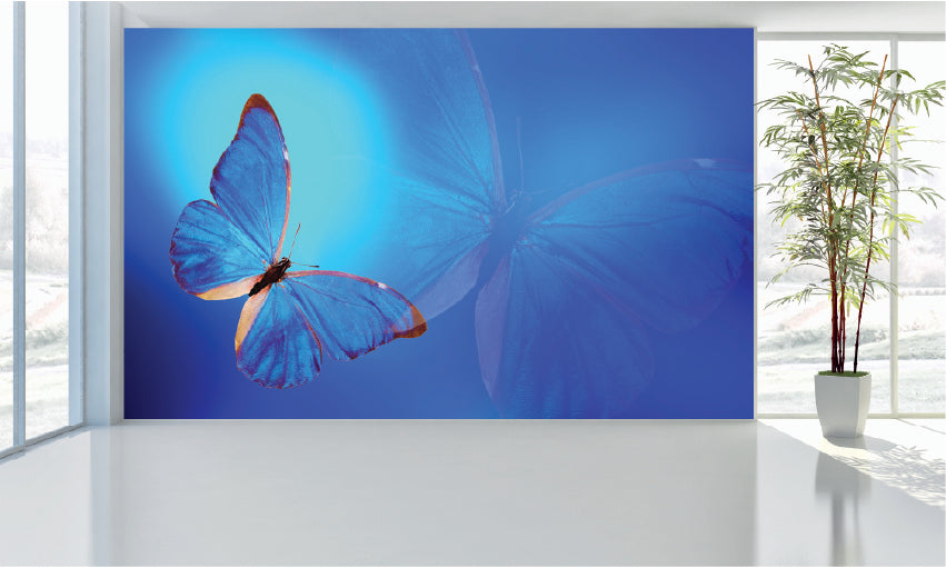 WM106 Butterfly Nature Wall Murals WallPaper Print Decal sticker