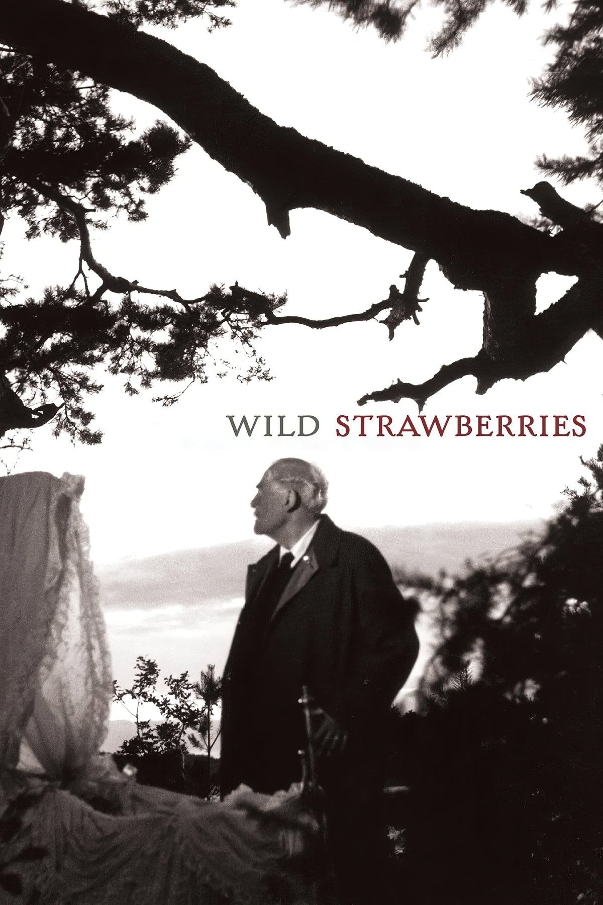 Wild Strawberries (1957) Film/Movie Premium Waterproof & Tear Resistant Posters