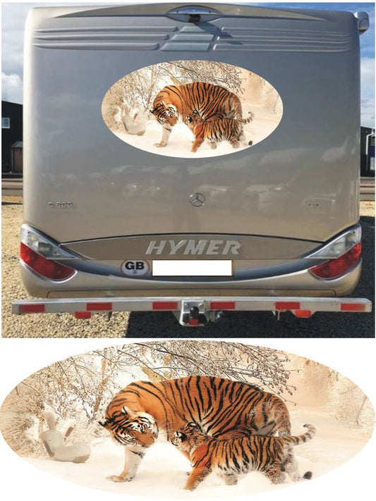 MH02 Tiger cubs in snow 1000mm graphics stickers campervan caravan horsebox motorhome