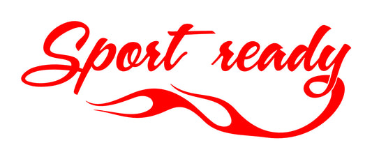 NEO00641-00650 Sport Ready Fancy Flame Car Bike Van Truck Boat Vinyl Graphic Sticker Decal Various Designs Available