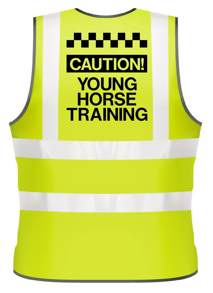 Adults Hi-Viz Vests