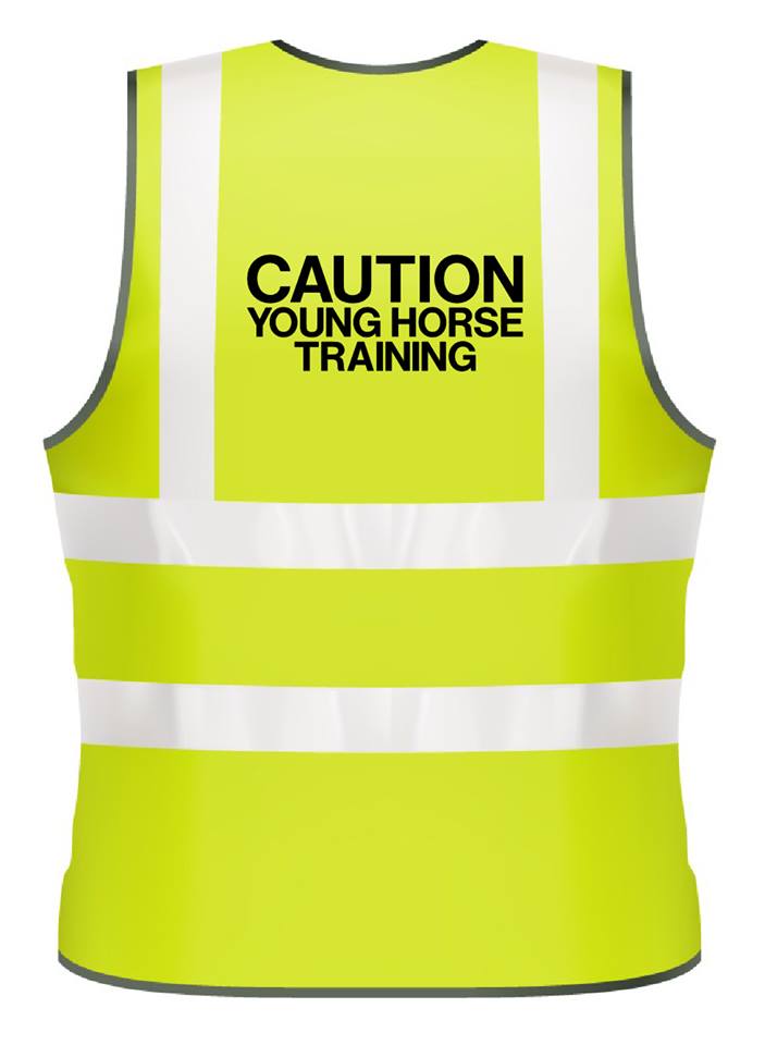 Adults Hi-Viz Vests