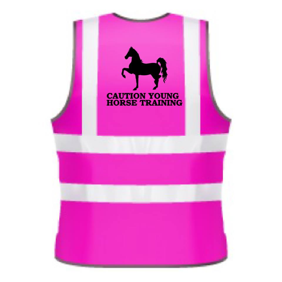 NEO00954K Kids Hi-Viz printed caution young horse training safety wear for horse riding